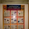 IMG_3356- school