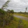 DSC02946