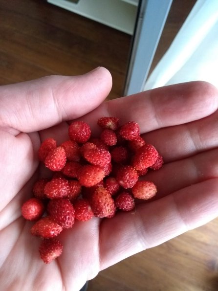 IMG_20180701_093942255